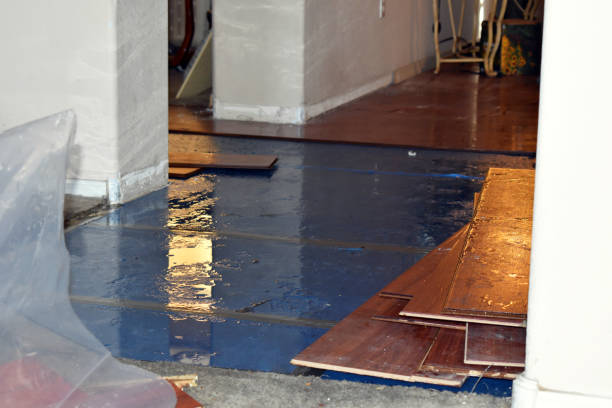 Professional Storm Water Damage Restoration technician working in Langley, WA